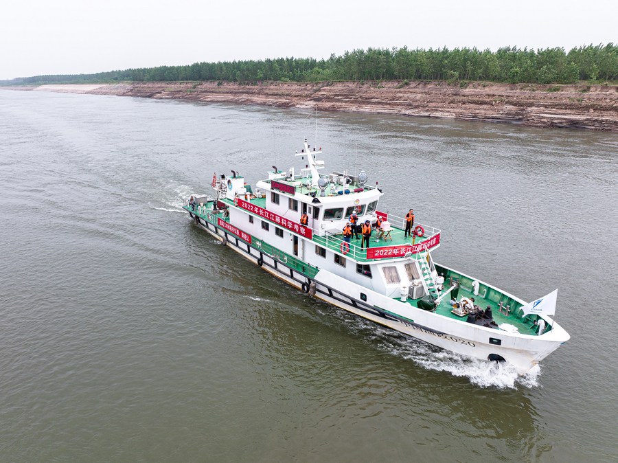 Large Pod of Yangtze Finless Porpoises Spotted in Central China