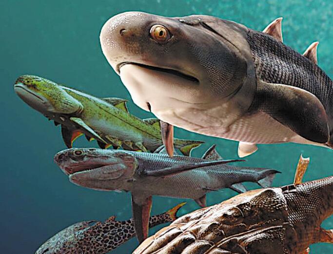 Fish Fossils Rewrite Evolutionary History