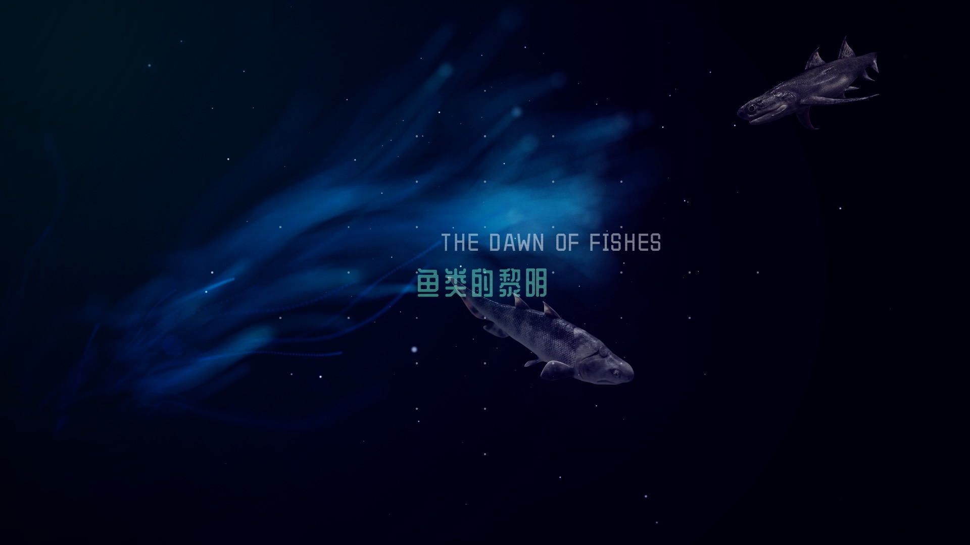 Fossils Found in China Shed Light on How Humans Evolved from Fish