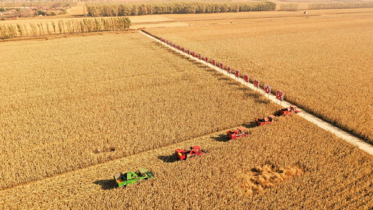 Advanced Technology Preserves Black Soil