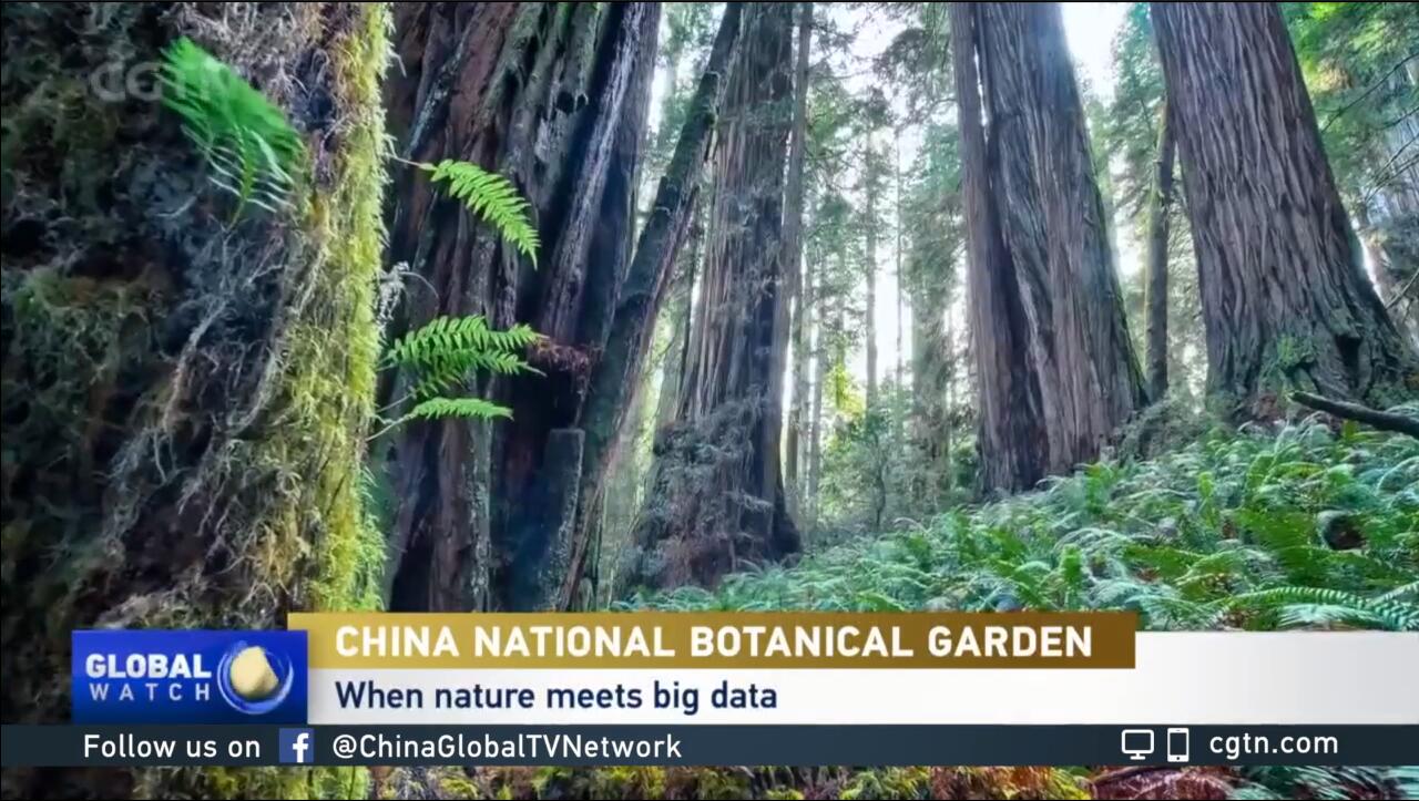 Nature Meets Big Data at the Chinese Academy of Sciences