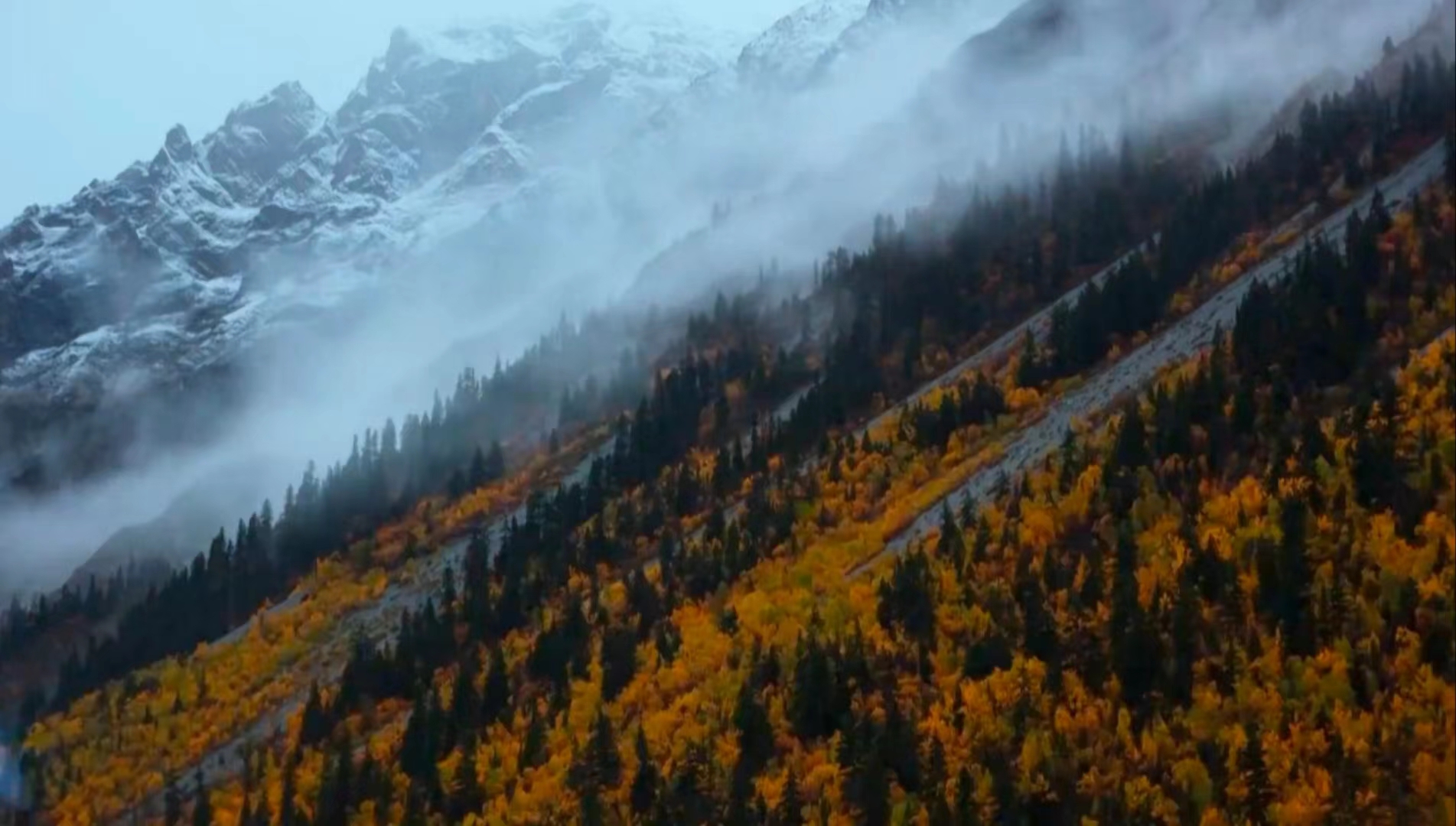 Trailblazer: Protecting the Himalayan Garden