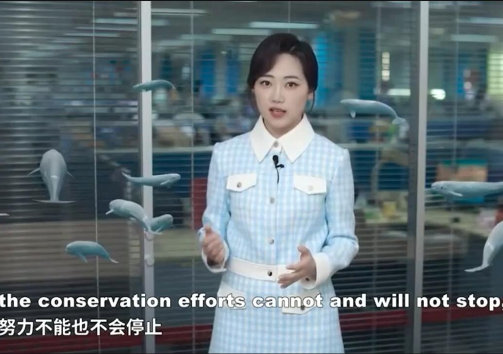 Yangtze Finless Porpoise: Protecting China's 