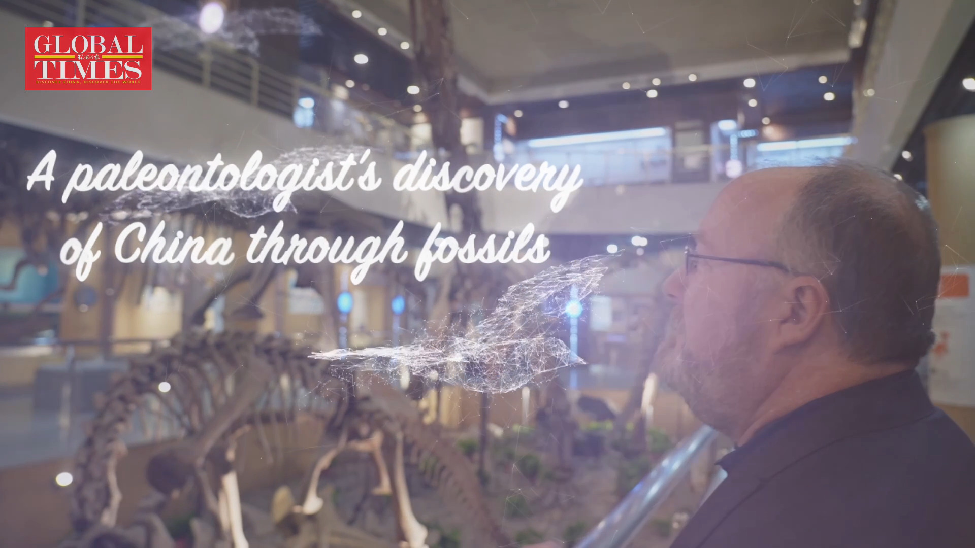 A Paleontologist's Discovery of China through Fossils