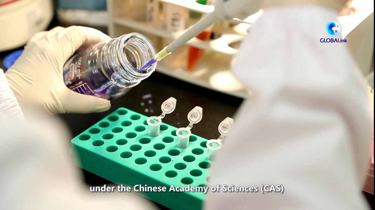 Chinese Scientists Include 1,300+ Butterfly Species in Checklist