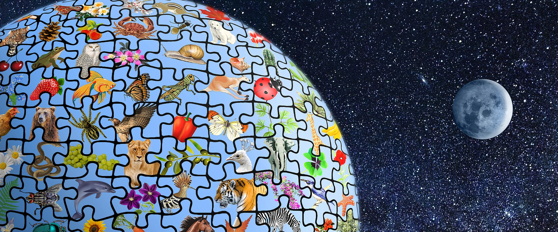 Beautiful China: How China Devotes to Global Biodiversity Protection?