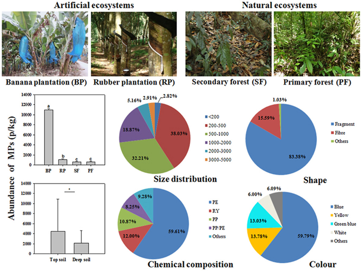 Microplastics Are Widespread in Soils of Tropical Areas