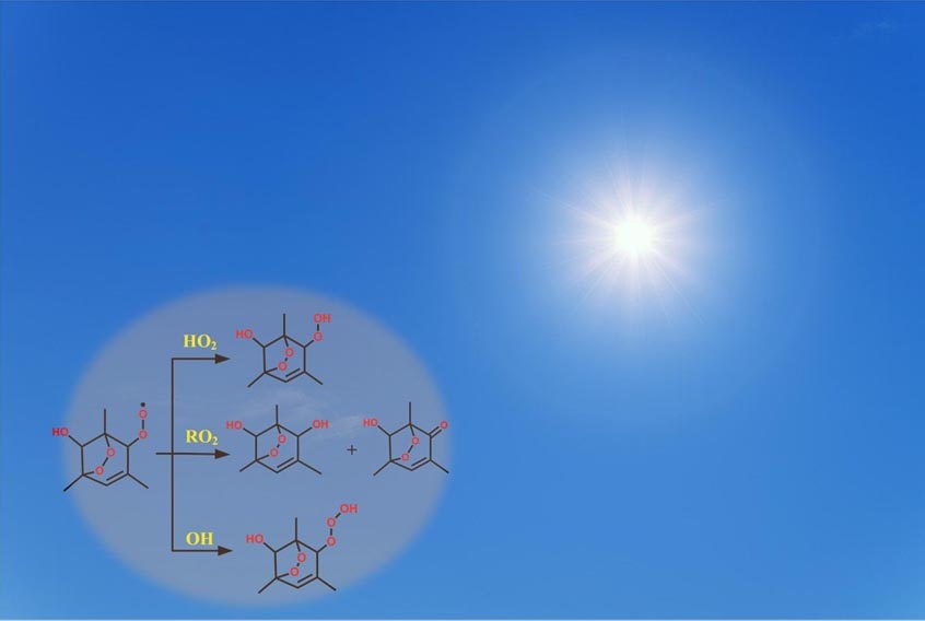 Evidence Proves Essential Role of O<sub>2</sub>-bridged Bicyclic Compounds in Formation of Secondary Organic Aerosol