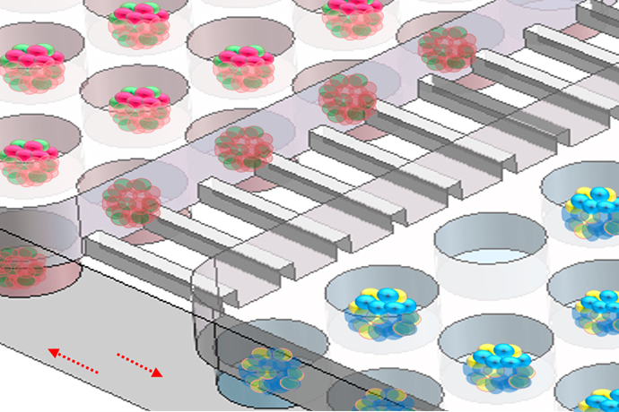 Multi-organoid System to Simulate Human Liver-islet Axis in Normal and Type 2 Diabetes