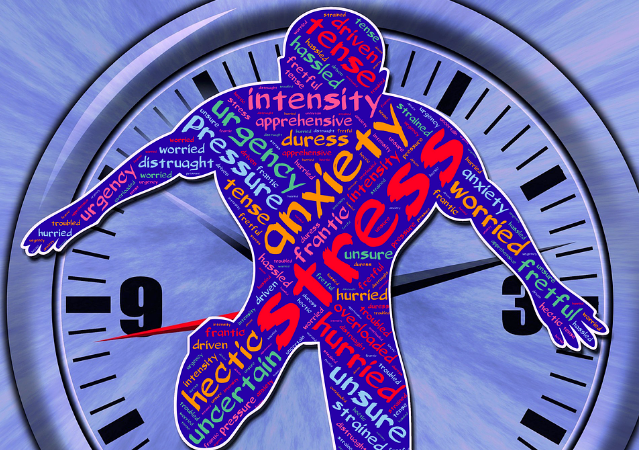 Involvement of Glutamate Receptor in Mid-adolescence Stress Alters Behavior Response Strategy in Adult Rats