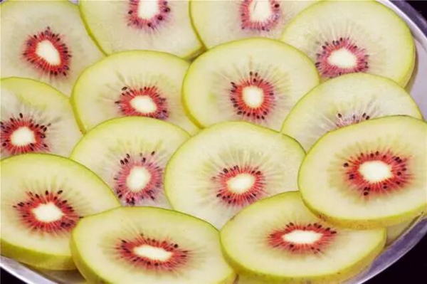 <EM>MORF</EM> Genes Regulate Chloroplast RNA Editing and Pathogens Stress in Kiwifruit