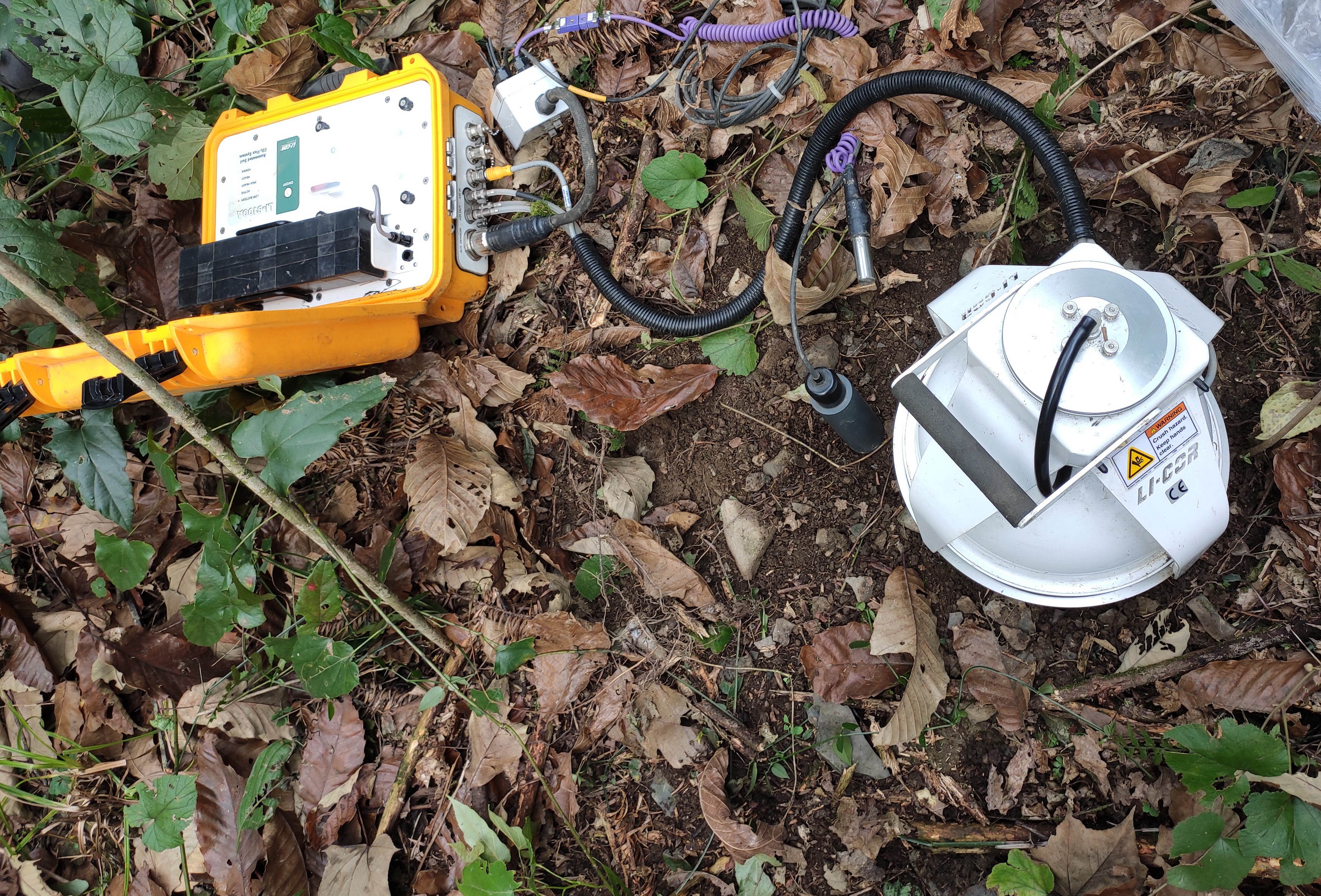 Soil Microbial Community Structure and Microenvironment Jointly Drive Soil Respiration Component Patterns