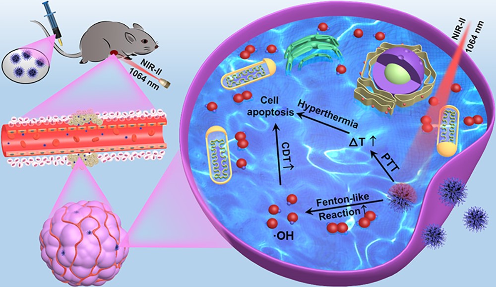 NIR-II-responsive Nickel-based Therapy Provides New Solution for Synergistic Oncotherapy