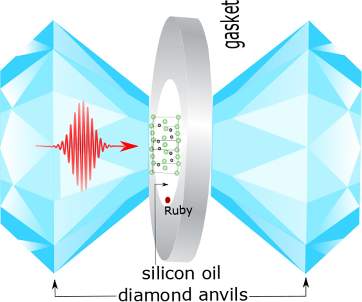 Ultrafast Dynamics of Topological Material Probed under Pressure