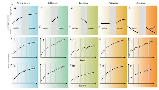 New Theoretical Model Reveals Multiple Component Processes in Perceptual Learning