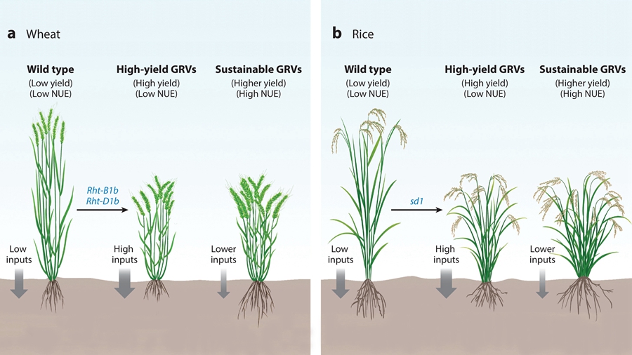 Scientists Propose New 
