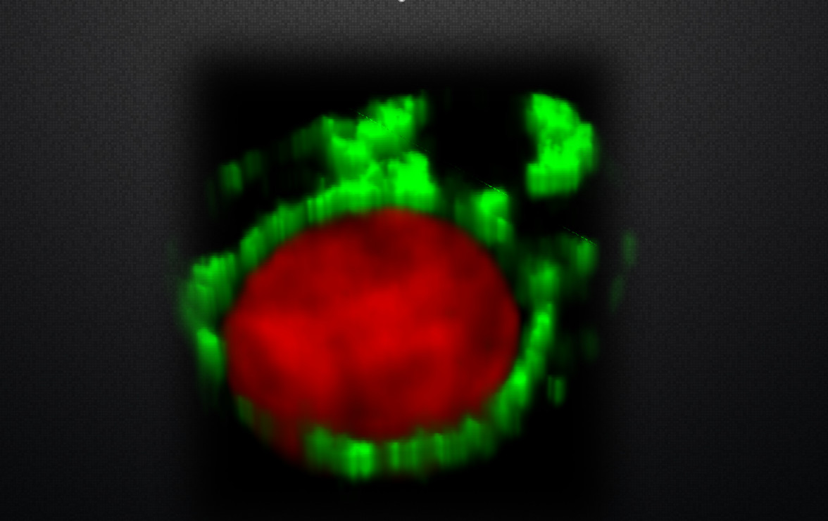 PDAT Regulates Phosphatidylethanolamine as Transient Carbon Sink Alternative to Triacylglycerol in <em>Nannochloropsis</em>