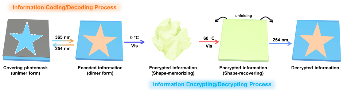 Novel Fluorescent Organohydrogel Proposed to Achieve Dual Information Encryption
