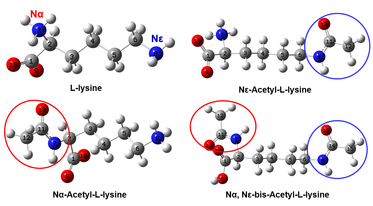 Raman and Infrared Spectroscopy Help Identify Different Acetylated Lysines