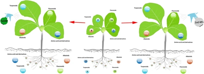 Metal Nanoparticles Serves As Plant Growth Regulators: Study