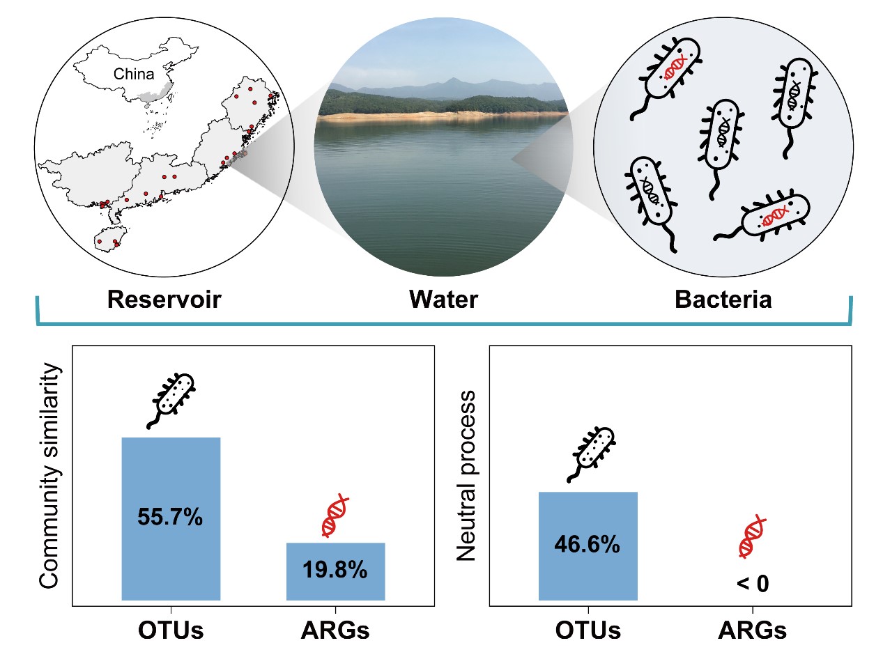 Study Uncovers Biogeographical Patterns of Bacterial Communities and Their Antibiotic Resistomes in Inland Waters of Southeast China