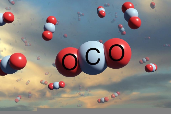 Two-dimensional Ionic Liquids to Effectively Capture CO<sub>2</sub>