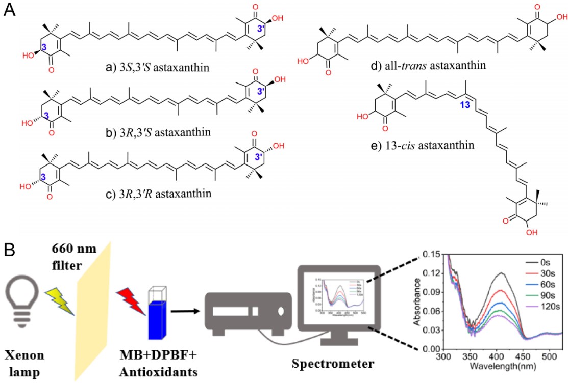 Novel Method Evaluates Antioxidant Activities of Astaxanthin Isomers against Singlet Oxygen