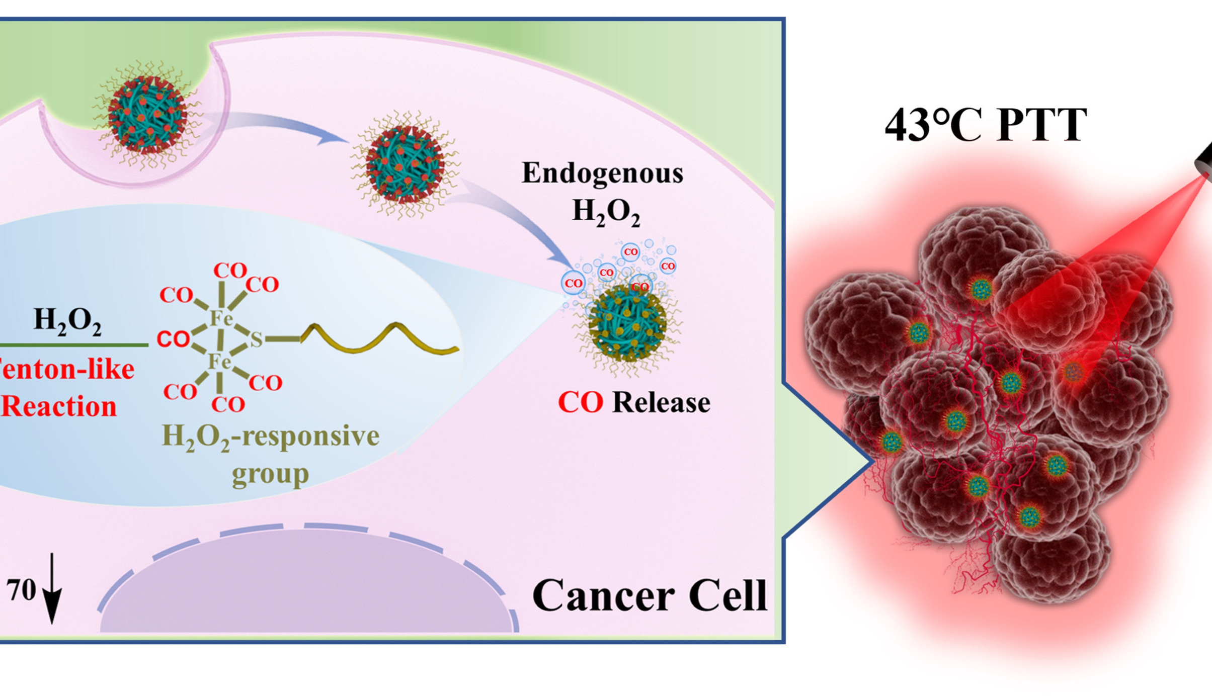Carbon Oxide Gas Boosts Photothermal Therapy under Mild Temperature
