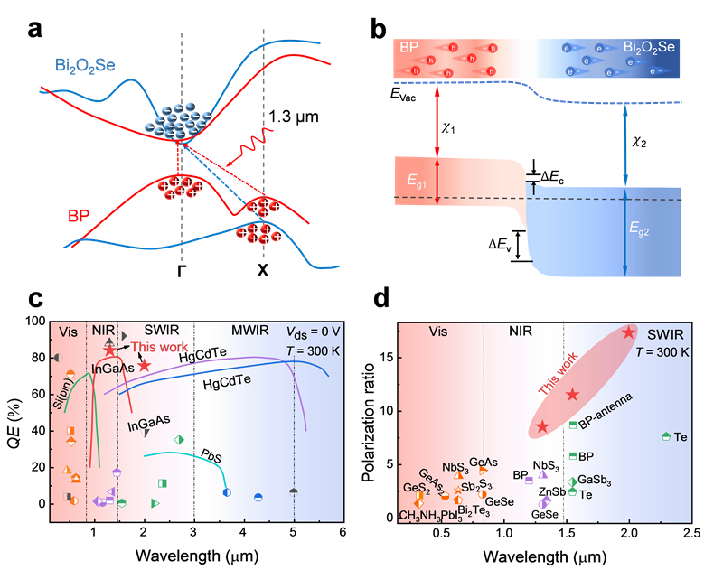 Scientists Propose New Van Der Waals Heterostructures for High-efficiency Infrared Photodetection