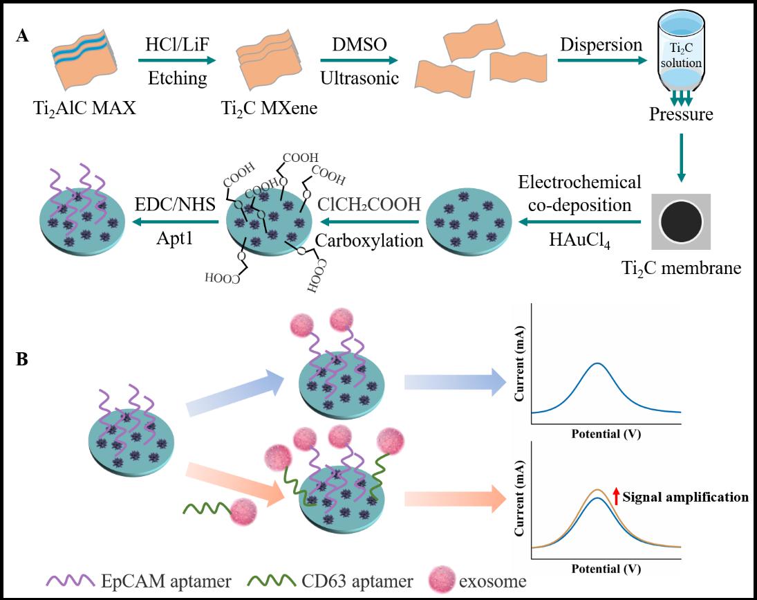 Chinese Researchers Propose Novel Electrochemical Biosensor for Early Cancer Detection