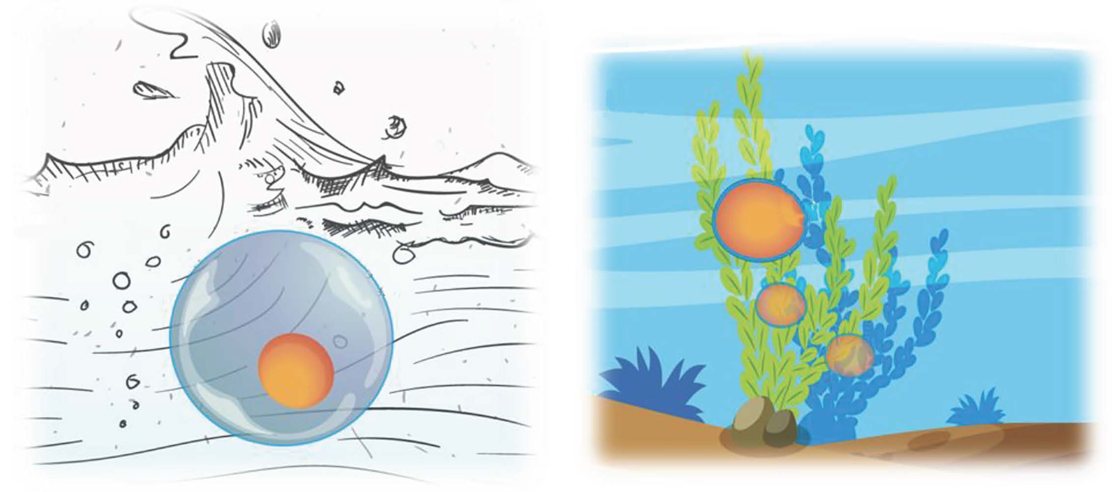 Researchers Reveal Molecular Mechanisms of Spawning Habits for Adaptive Radiation of Endemic East Asian Cyprinid Fishes