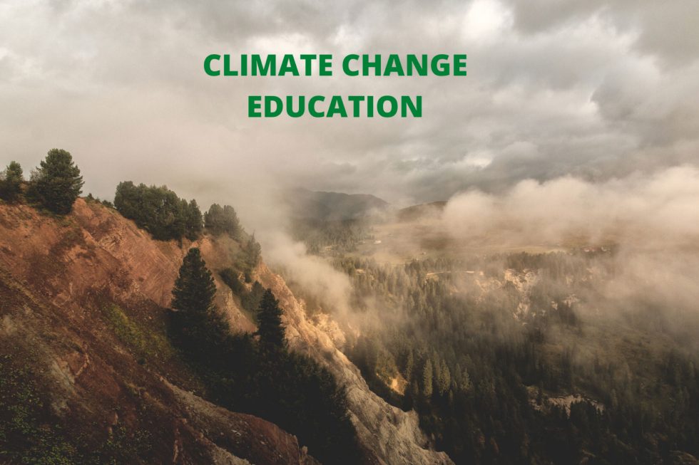 Fear Emotion Has Negative Impact on Mitigation Behavior toward Climate Change