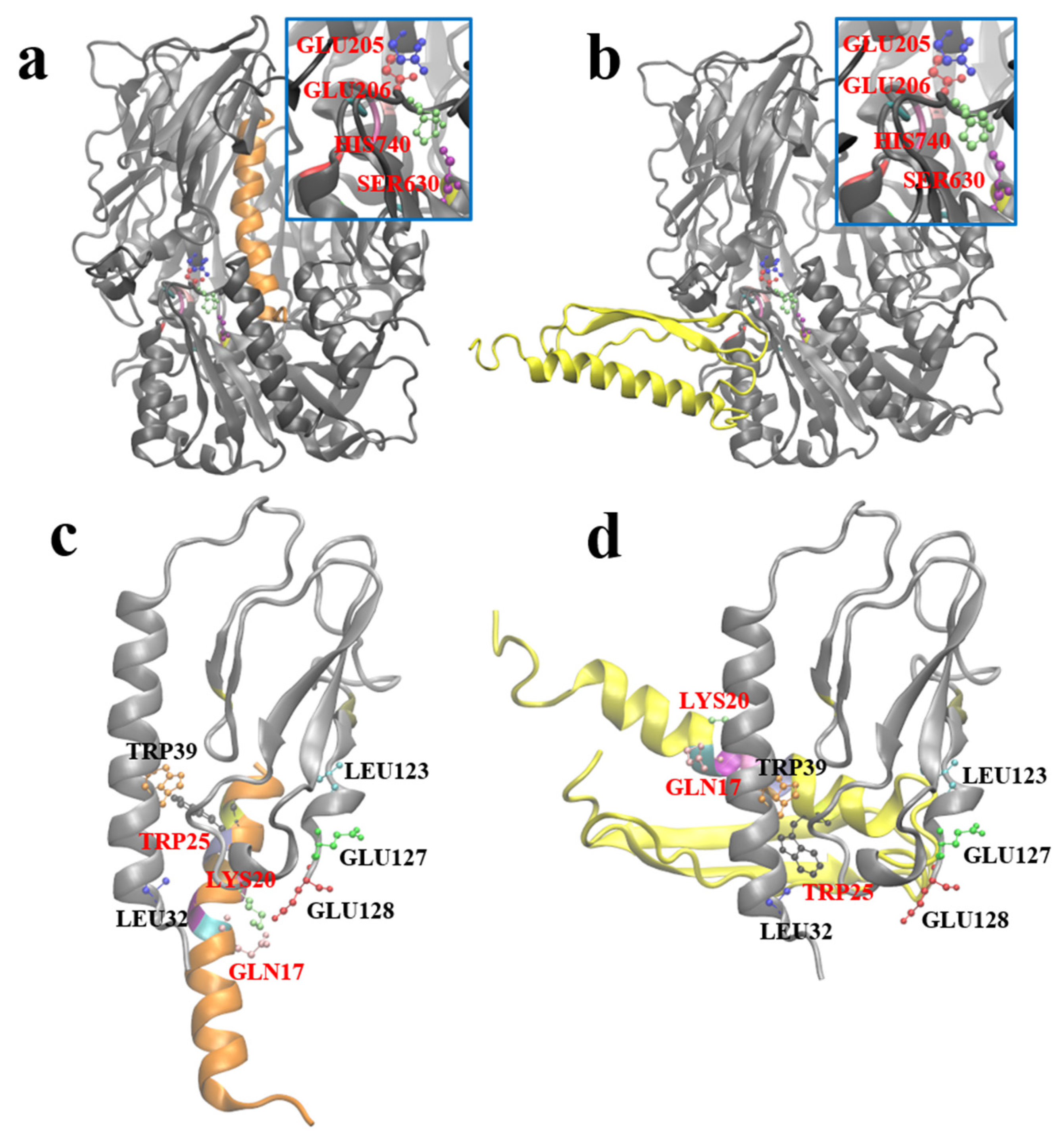 Novel Glucagon-like Peptide-1 Drugs Designed for Type II Diabetes