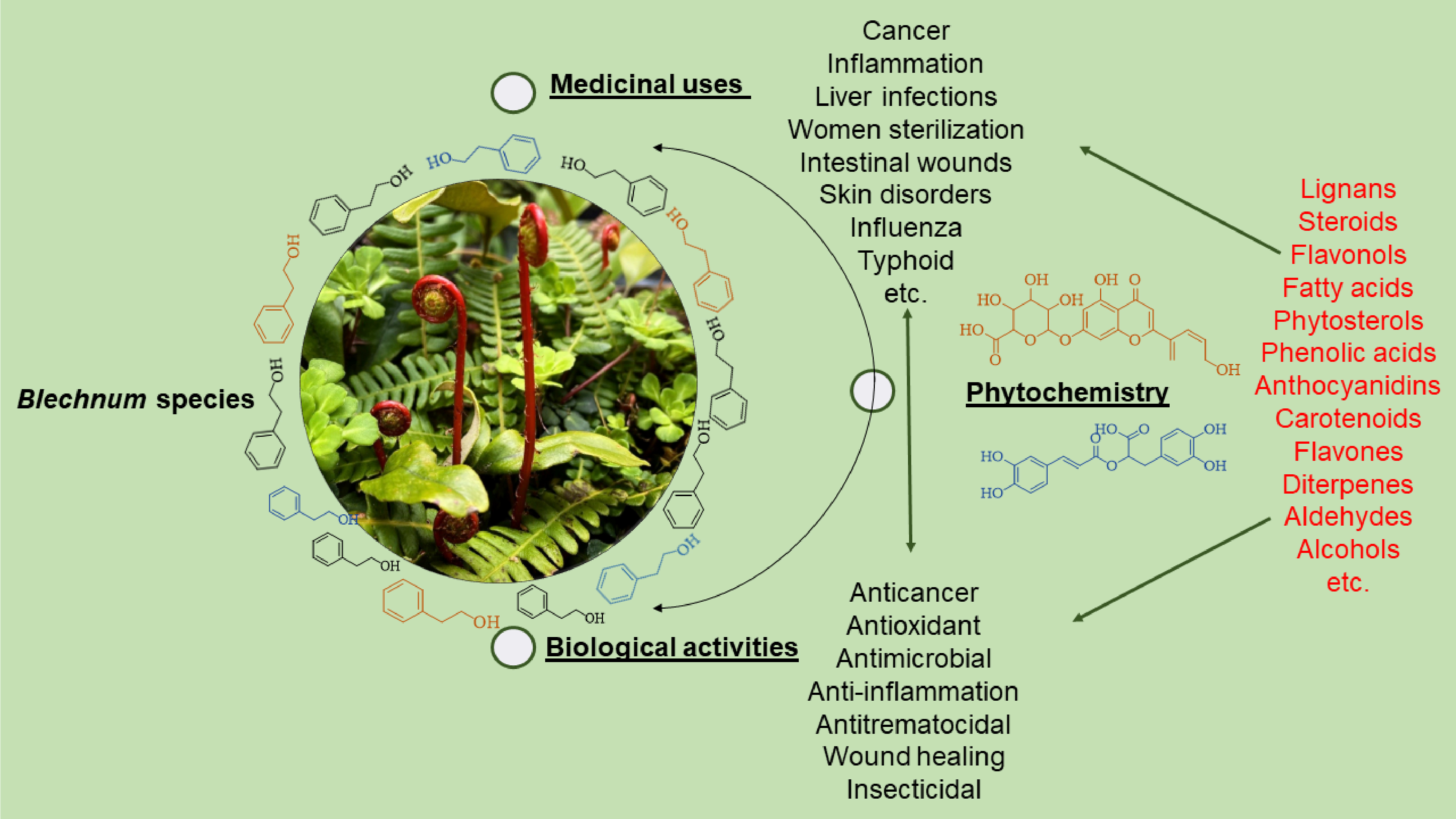 Researchers Review Traditional Uses, Phytochemistry and Pharmacological Properties of Genus <i>Blechnum</i>