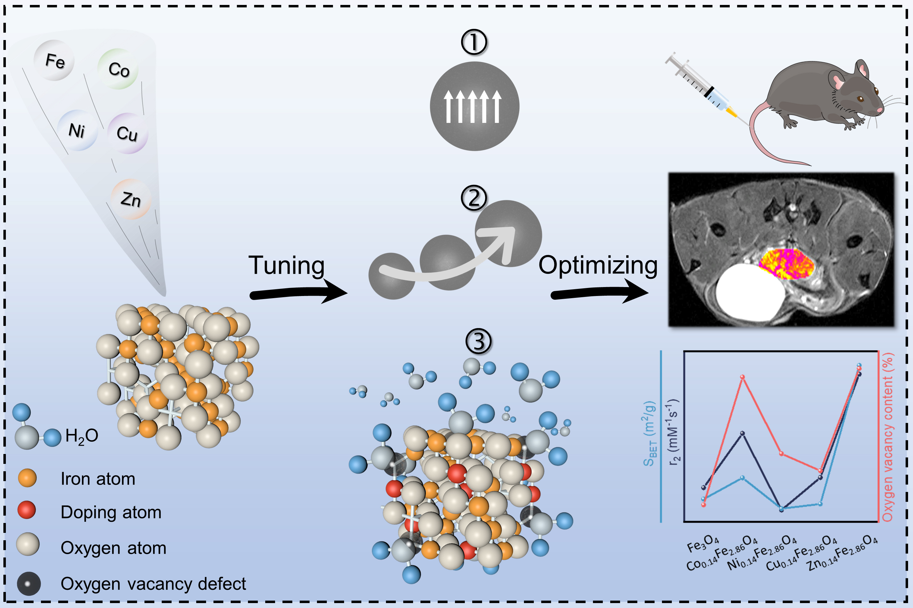 Transition Metal-doped Iron Oxide Nanocrystals Modulates MRI Contrast Performance