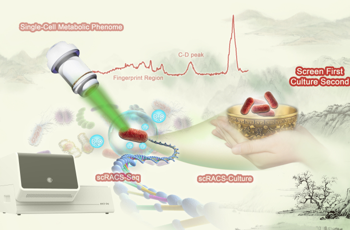 Single-cell Raman-based Tool Developed for Efficient Mining of Live Functional Microbes from Nature