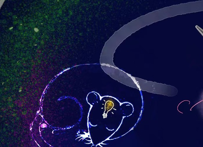 New Study Reveals Role of Retrosplenial Cortex in Regulating Sub-stage Transition During Rapid Eye Movement Sleep