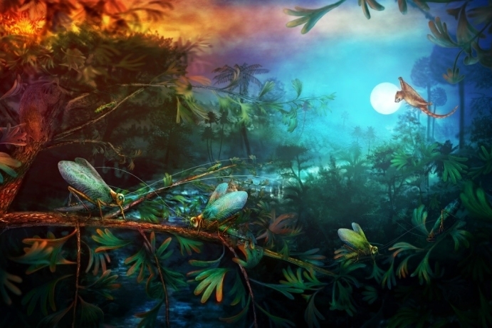 Study of Fossil Katydids Provides New Insights on Evolution of Mesozoic Soundscape