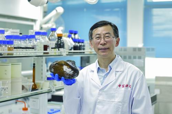 Scientists Explore Fatigue-resistant Materials Inspired by Mussels