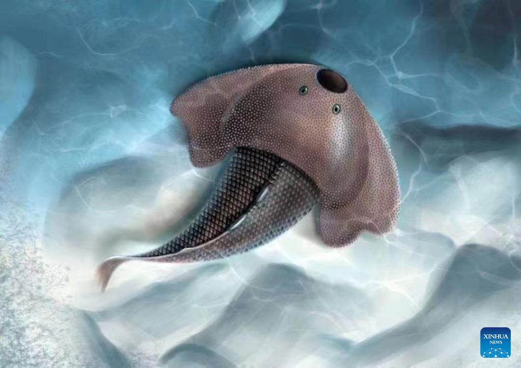 New Fossilized Galeaspid Fish Found in Central China's Xiushan Formation