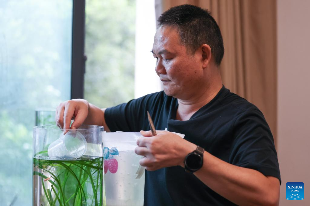 Researchers Conduct Studies on Ecosystem of Dongting Lake Wetland in C China