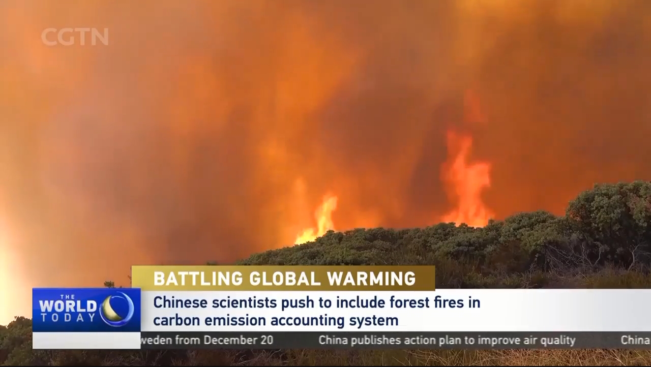 Battling Global Warming: Chinese Scientists Push to Include Forest Fires in Carbon Emission Accounting System