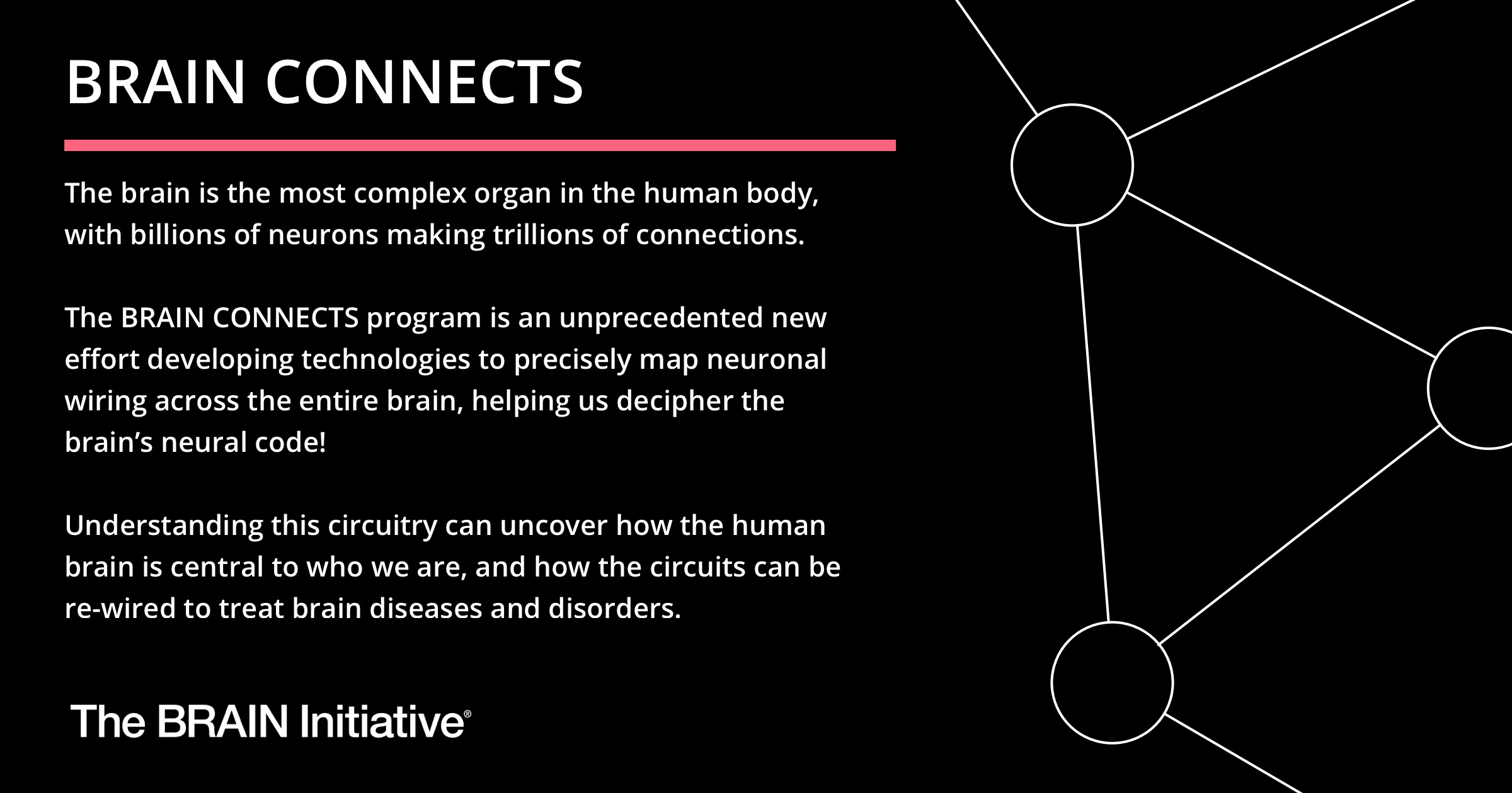 Global Collaboration to Decode Brain Wiring in Groundbreaking Research