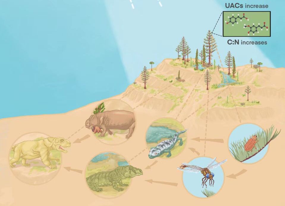 Fossil Pollen 'Sunscreen' Proves Role of Ozone Depletion in Largest Mass Extinction