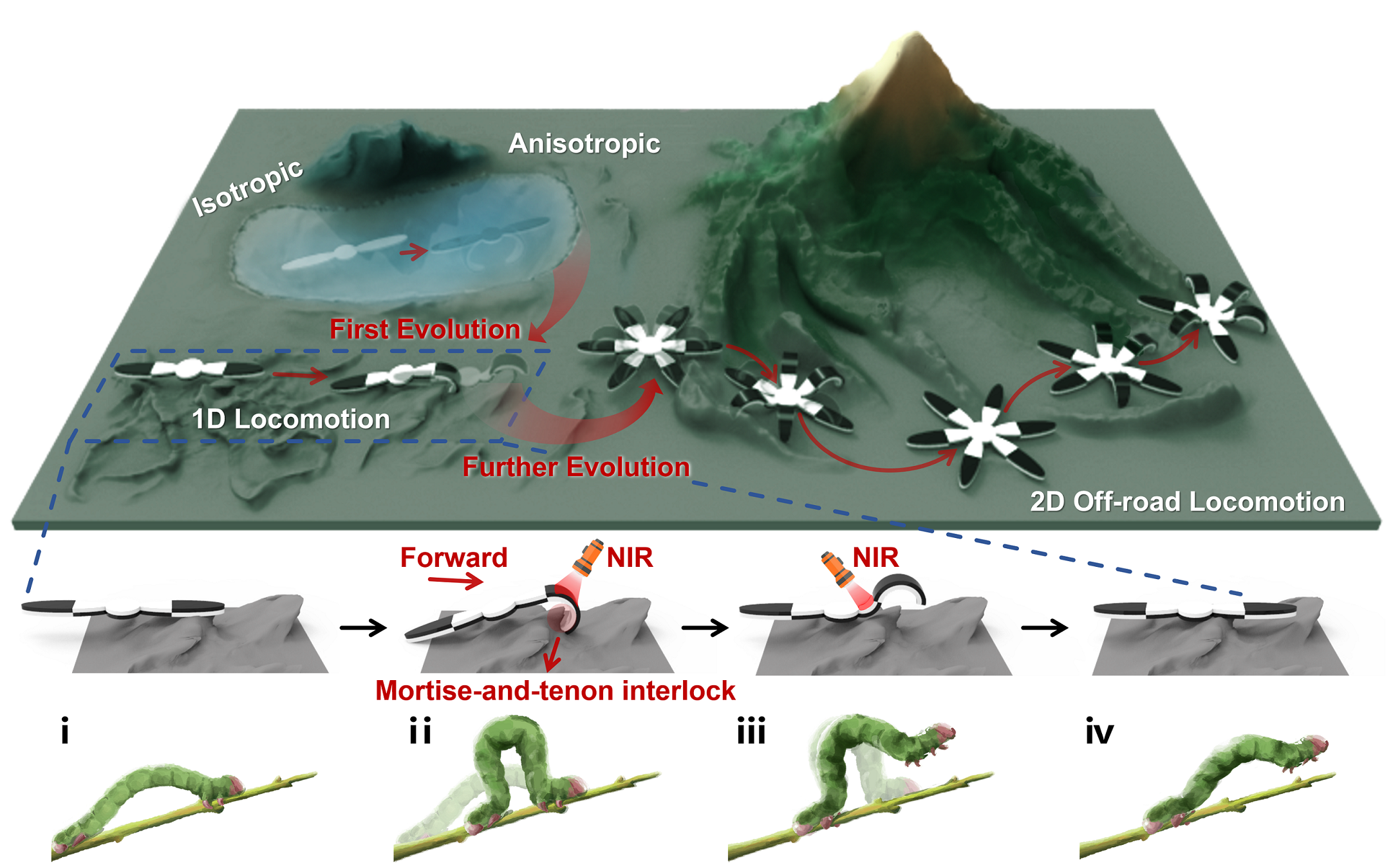 Novel Approach Enables Adaptive Off-road Locomotion of Hydrated Soft Robots