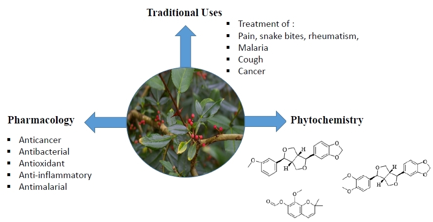 Researchers Update Ethnobotanical Uses, Phytochemistry and Pharmacology of Genus <EM>Zanthoxylum</EM>