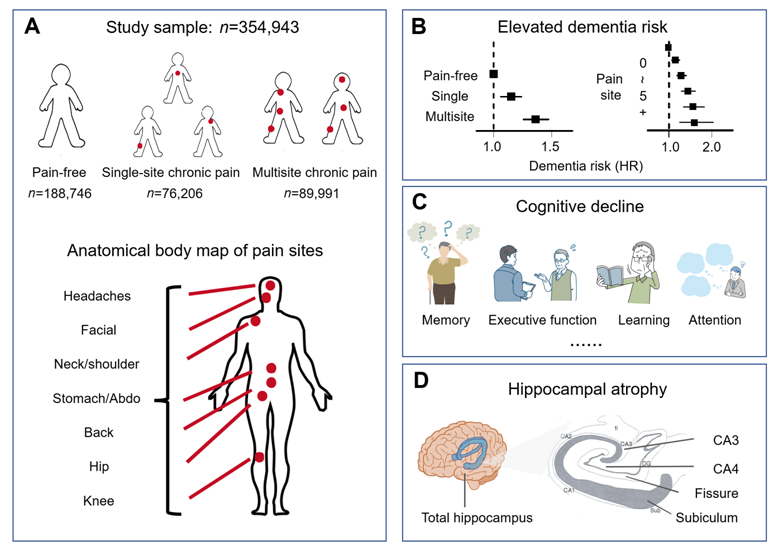 More Pain, More Burdens: Researchers Find Link between Chronic Pain and Dementia