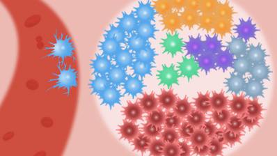 Researchers Review Technical Advances, Challenges and Promises of Single-cell Lipidomics