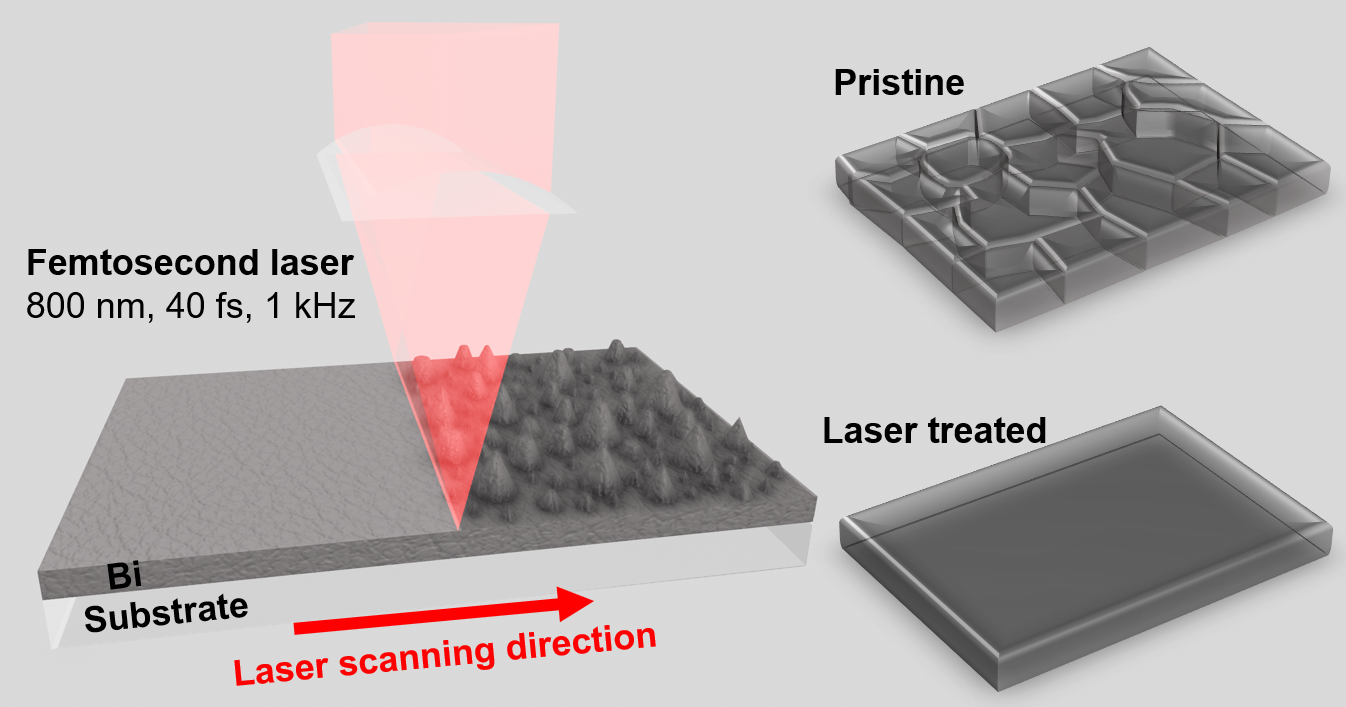 Femtosecond Laser Improves Bismuth Film Quality for Ultra-broadband Photodetection