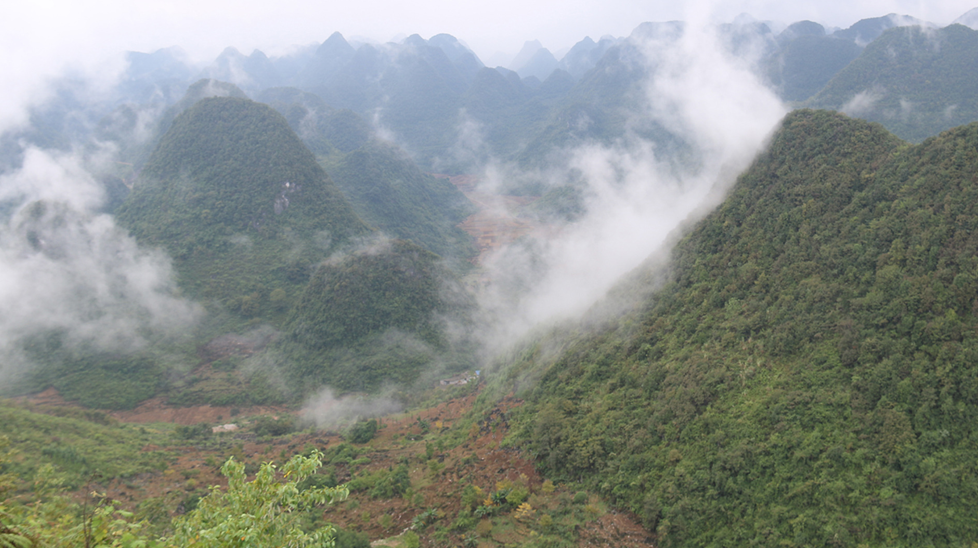 More Efforts Are Needed to Protect Orchids in Karst Forest